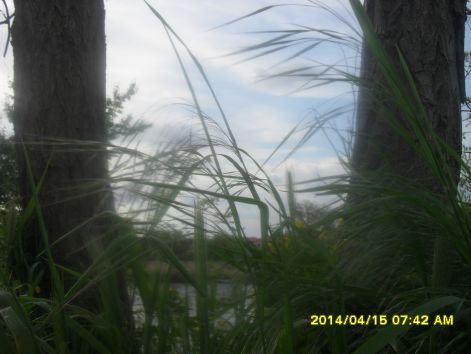 fenykepezogeprol_letoltve_061.jpg