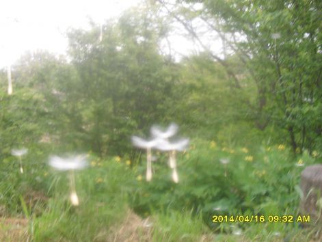 fenykepezogeprol_letoltve_095.jpg